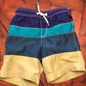 Boys Lands End Stripe Swim Trunks